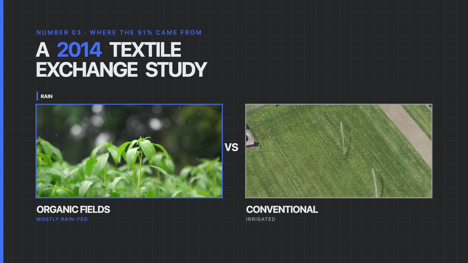 Rain-fed organic cotton field next to an irrigated conventional field from the 2014 Textile Exchange study