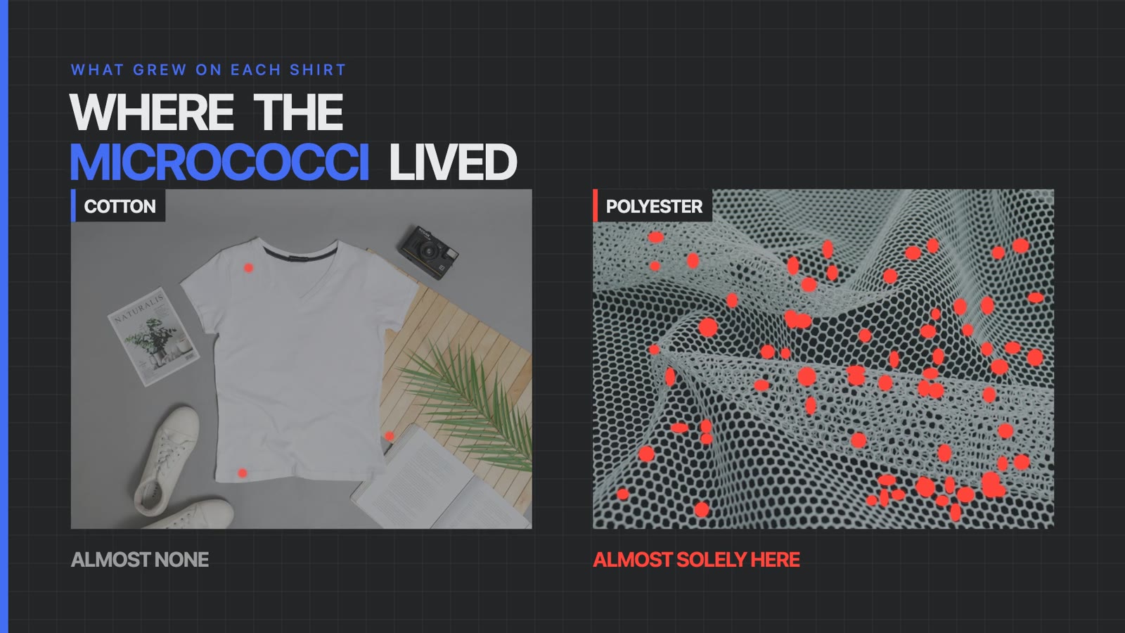Micrococci found almost solely on the polyester shirts