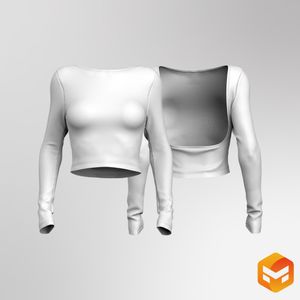 Ladies Boat Neckline Open Back Long Sleeve Top - 3D Garment