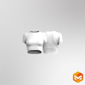Ladies Crew Neckline Set In Sleeve Crop Tee 3D Garment