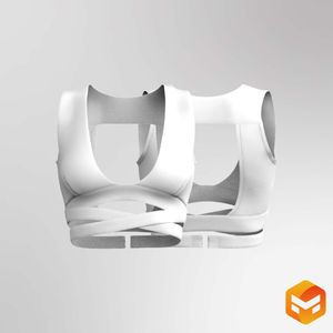 Ladies Deep V-Shaped Neckline Wrap Strap Bra 3D Garment
