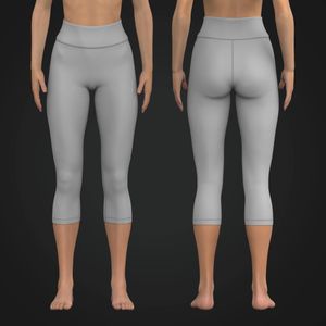 Ladies High Waisted 23.00 Inch Inseam Leggings