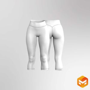 Ladies High Waisted V-Shaped Waistband 21.00 Inch Inseam Leggings 3D Garment