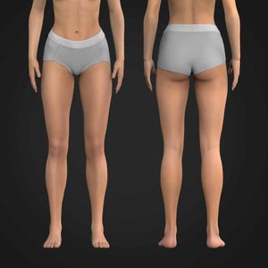 Ladies Jacquard Ribbed Brief Tech Pack