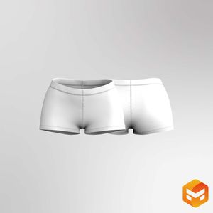 Ladies Low Rise 2.00 Inch Inseam Briefs 3D Garment