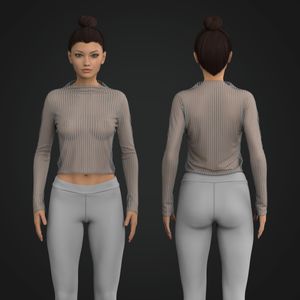 Ladies Mock Neck Set In Long Sleeve Sheer Top Tech Pack