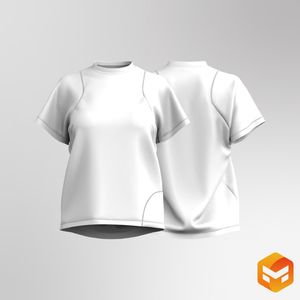 Ladies Modified Set In Sleeve Relaxed Tee 3D Garment