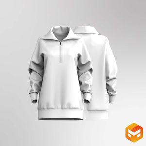 Ladies Quarter Zip Raglan Sleeve Relaxed Sweater Dress 3D Garment