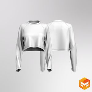 Ladies Raglan Long Sleeve Relaxed Crop Tee 3D Garment