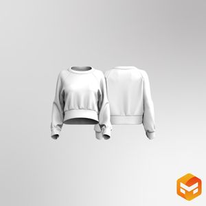 Ladies Raglan Sleeve Oversized Sweater 3D Garment