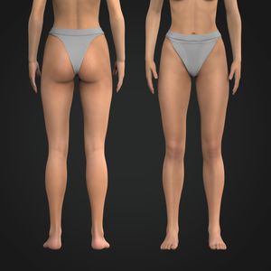 Ladies Ribbed Contour Brief Tech Pack