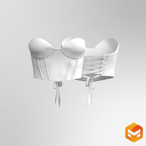 Ladies Strapless Corset - 3D Garment