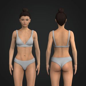 Ladies V-Shaped Neckline 2 Set Bikini Set Tech Pack