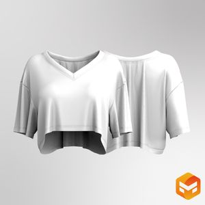 Ladies V-Shaped Neckline Drop Shoulder Oversized Crop Tee 3D Garment