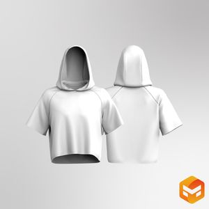 Mens Raglan Sleeve Relaxed Cropped Hoodie 3D Garment