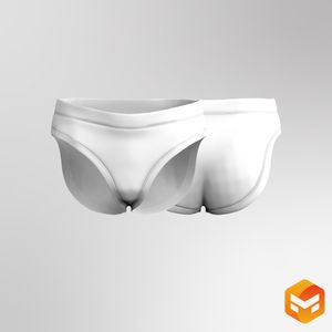 Mens Swim Brief 3D Garment