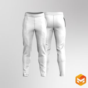 Mens Tappered Ankle Zipper Joggers 3D Garment