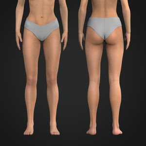 Ladies Full Coverage Panties