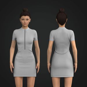 Ladies Set In Sleeve Quarter Zip Fitted Dress