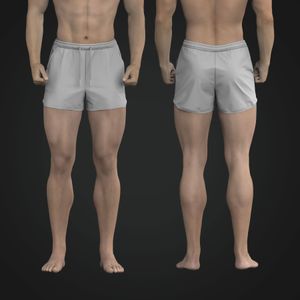 Mens 3 Inch Inseam Swim Shorts