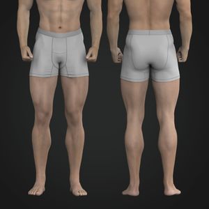 Mens 3.00 Inch Inseam Boxer Briefs