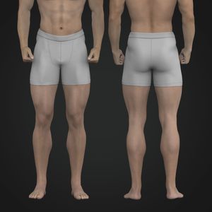 Mens 5.00 Inch Inseam Boxer Briefs