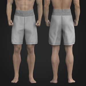 Mens 9.00 Inch Inseam Boxing Shorts