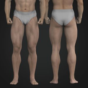 Mens Underwear Briefs